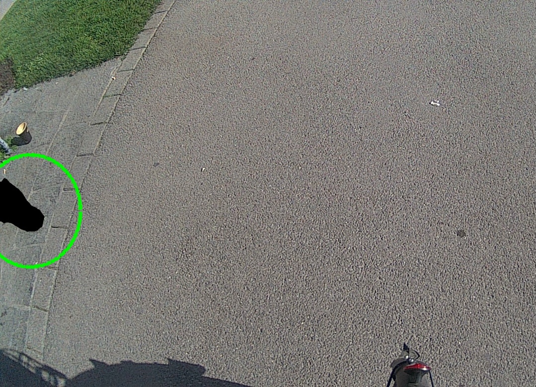 Vue caméra réelle — jambe anonymisée